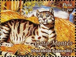 Colnect-1584-970-Pampas-Cat-Oncifelis-colocolo.jpg