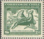 Colnect-2101-249-South-American-Sea-Lion-Otaria-byronia.jpg