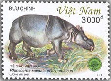 Colnect-1661-120-Vietnamese-Javan-Rhinoceros-Rhinoceros-sondaicus-annamiticu.jpg