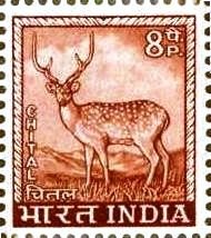 Colnect-1519-768-Chital-Axis-axis.jpg