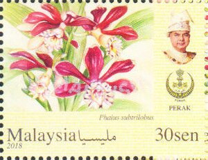 Colnect-5448-299-Orchids-of-Malaysia.jpg