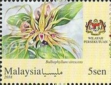Colnect-5448-303-Orchids-of-Malaysia.jpg
