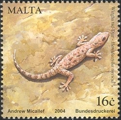 Colnect-657-549-Turkish-Gecko-Hemidactylus-turcicus.jpg