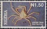 Colnect-3866-757-Spider-crab-Libinia-emarginata.jpg