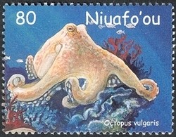 Colnect-1538-310-Common-Octopus-Octopus-vulgaris.jpg