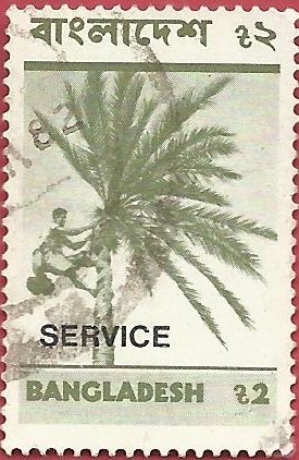 Colnect-4087-623-Collecting-date-palm-juice.jpg