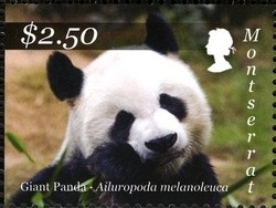 Colnect-1524-105-Giant-Panda-Ailuropoda-melanoleuca.jpg