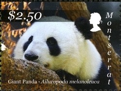Colnect-1524-106-Giant-Panda-Ailuropoda-melanoleuca.jpg