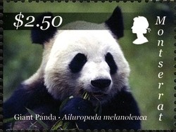 Colnect-1524-107-Giant-Panda-Ailuropoda-melanoleuca.jpg