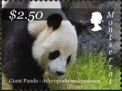 Colnect-1524-108-Giant-Panda-Ailuropoda-melanoleuca.jpg