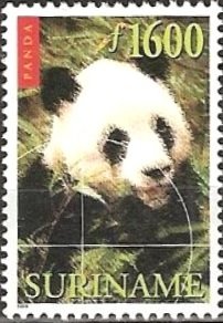 Colnect-2021-066-Giant-Panda-Ailuropoda-melanoleuca.jpg