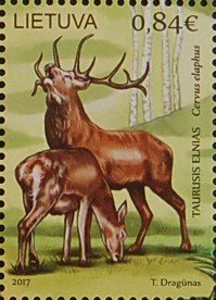 Colnect-4560-262-Red-Deer-Cervus-elaphus.jpg