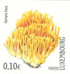 Colnect-858-551-Golden-Coral-Fungus-.jpg