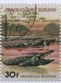 Colnect-1324-142-Nile-Crocodile-Crocodylus-niloticus.jpg