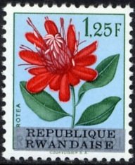 Colnect-1360-715-RW-U-180-Ruanda-Urundi-overprint--REPUBLIQUE-RWANDAISE-.jpg