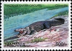 Colnect-1690-441-Nile-Crocodile-Crocodylus-niloticus.jpg