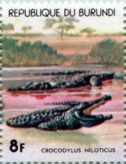 Colnect-4835-405-Nile-crocodilesCrocodylus-niloticus.jpg