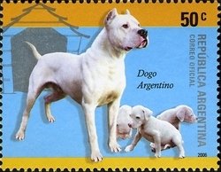 Colnect-1261-498-Argentine-Dog-Canis-lupus-familiaris.jpg
