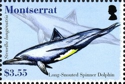 Colnect-1524-017-Long-snouted-Dolphin-Stenella-longirostris.jpg