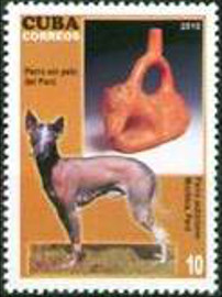 Colnect-2861-488-Peruvian-Inca-Orchid-Dog-Canis-lupus-familiaris-Jug-of-Mo.jpg