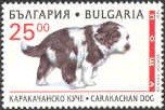 Colnect-459-044-Karakachan-Dog-Canis-lupus-familiaris.jpg