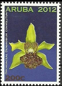 Colnect-1827-932-Dendrobium-convolutum.jpg