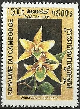 Colnect-1855-715-Dendrobium-trigonopus.jpg