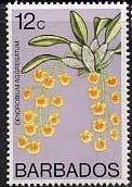 Colnect-578-308-Dendrobium-aggregatum.jpg
