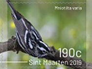 Colnect-5931-512-Birds-of-Sint-Maarten.jpg