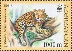 Colnect-1097-779-Caucasian-Leopard--Panthera-pardus-ciscaucasica.jpg