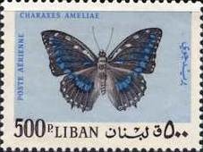 Colnect-1378-326-Blue-spotted-Charaxes-Charaxes-ameliae.jpg