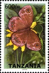 Colnect-1692-615-Udzwunga-Butterfly.jpg