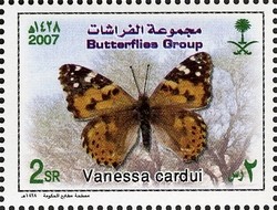 Colnect-1729-740-Painted-Lady-Vanessa-cardui.jpg