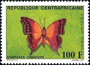 Colnect-2149-663-Green-veined-Emperor-Charaxes-candiope.jpg