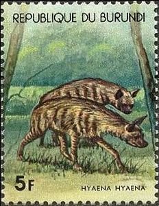 Colnect-4835-102-Striped-hyena-Hyaena-hyaena.jpg