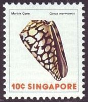 Colnect-5046-716-Marbled-Cone-Conus-marmoreus.jpg