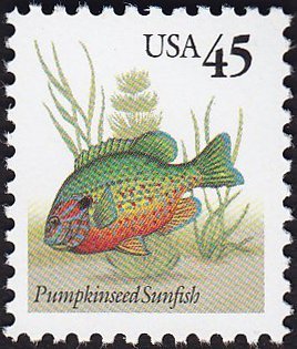 Colnect-5103-893-Pumpkinseed-Sunfish-Lepomis-gibbosus.jpg
