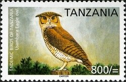 Colnect-1690-910-Usambara-Eagle-owl-Bubo-vosseleri.jpg