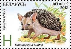 Colnect-1259-491-Long-eared-Hedgehog-Hemiechinus-auritus.jpg