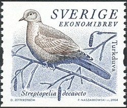 Colnect-542-421-Eurasian-Collared-Dove-Streptopelia-decaocto.jpg