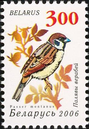 Colnect-1055-986-Eurasian-Tree-Sparrow-Passer-montanus.jpg