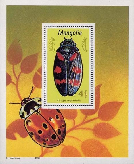 Colnect-1259-282-Froghopper-Beetle-Cercopis-sanguinolenta.jpg