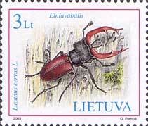 Colnect-195-932-Stag-Beetle-Lucanus-cervus.jpg