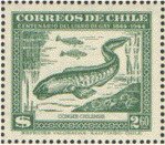 Colnect-2101-277-Red-Cusk-eel-Genipterus-chilensis.jpg