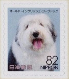 Colnect-4415-134-Old-English-Sheepdog-Canis-lupus-familiaris.jpg