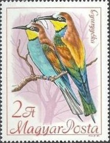 Colnect-459-509-European-Bee-eater-Merops-apiaster.jpg