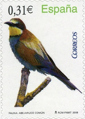 Colnect-577-104-European-Bee-eater-Merops-apiaster.jpg