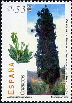 Colnect-581-621-Trees-Cypress-Tree.jpg