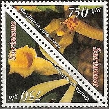 Colnect-2272-454-Maxillaria-Refescens-Vanilla-Grandiflora.jpg