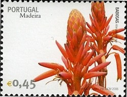Colnect-546-316-Madeira-Flowers-Aloe.jpg